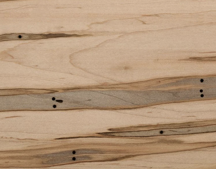 4/4 Ambrosia Maple