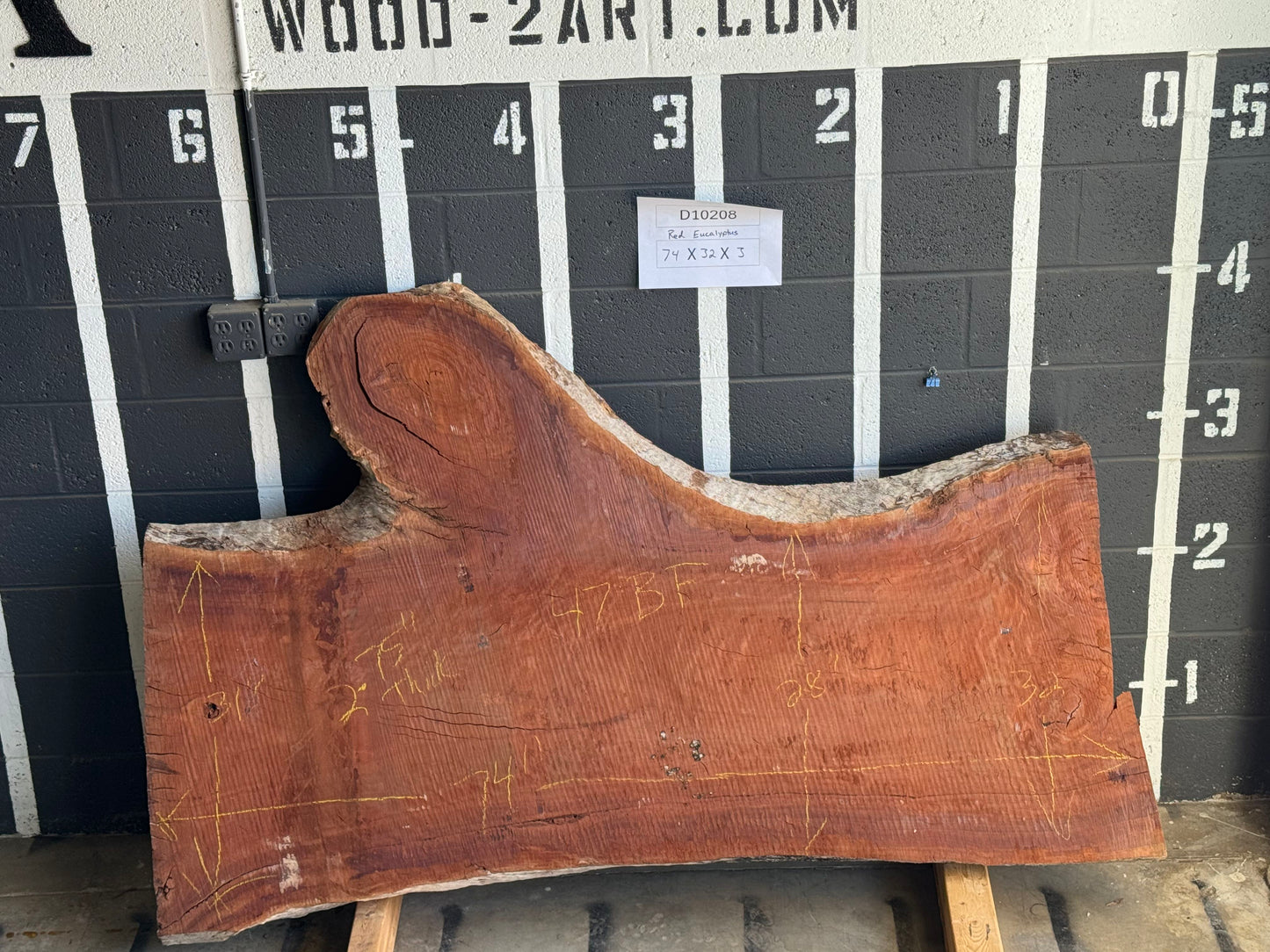 12/4 Eucalyptus <br> 74" x 32" x 3" <br> D10208