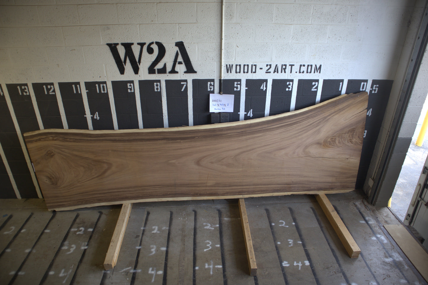 8/4 Monkey Pod <br> 160" x 43" x 2" <br> I00231