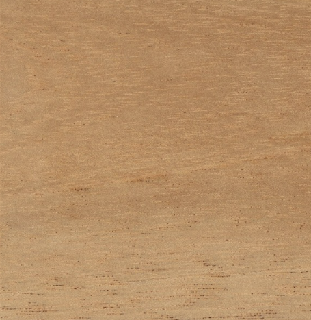 4/4 Spanish Cedar <br> Rough Sawn Lumber
