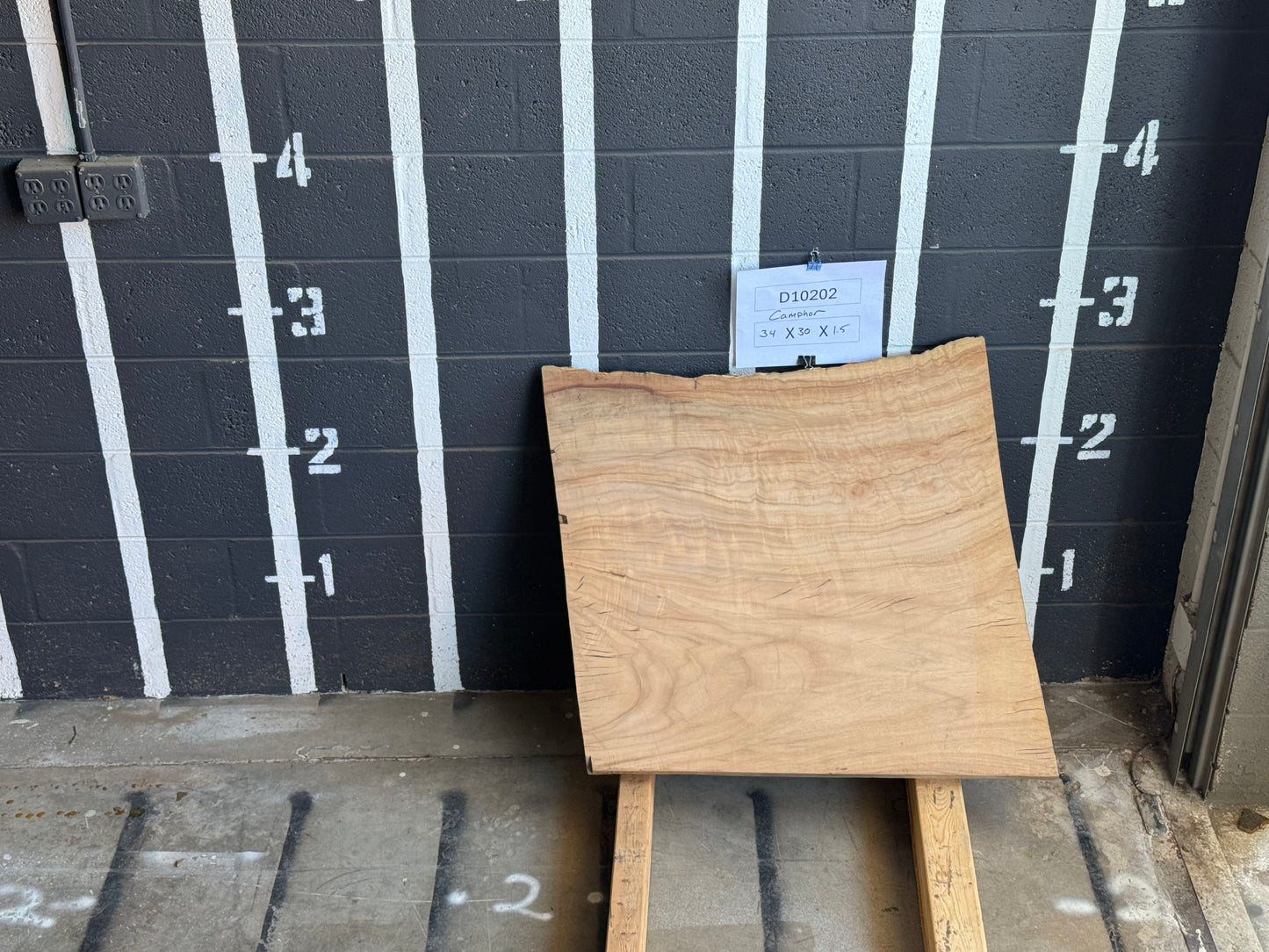 6/4 Camphor <br> 34" x 30" x 1.5" <br> D10202