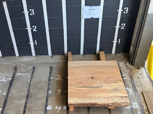 10/4 Cashew <br> 33" x 34" x 2.5" <br> D10203