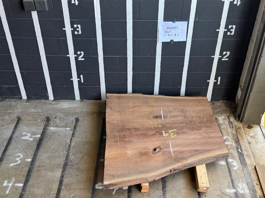 8/4 Walnut <br> 44" x 40" x 2" <br> D10207