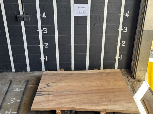 8/4 Parota <br> 61" x 42" x 2" <br> D10209