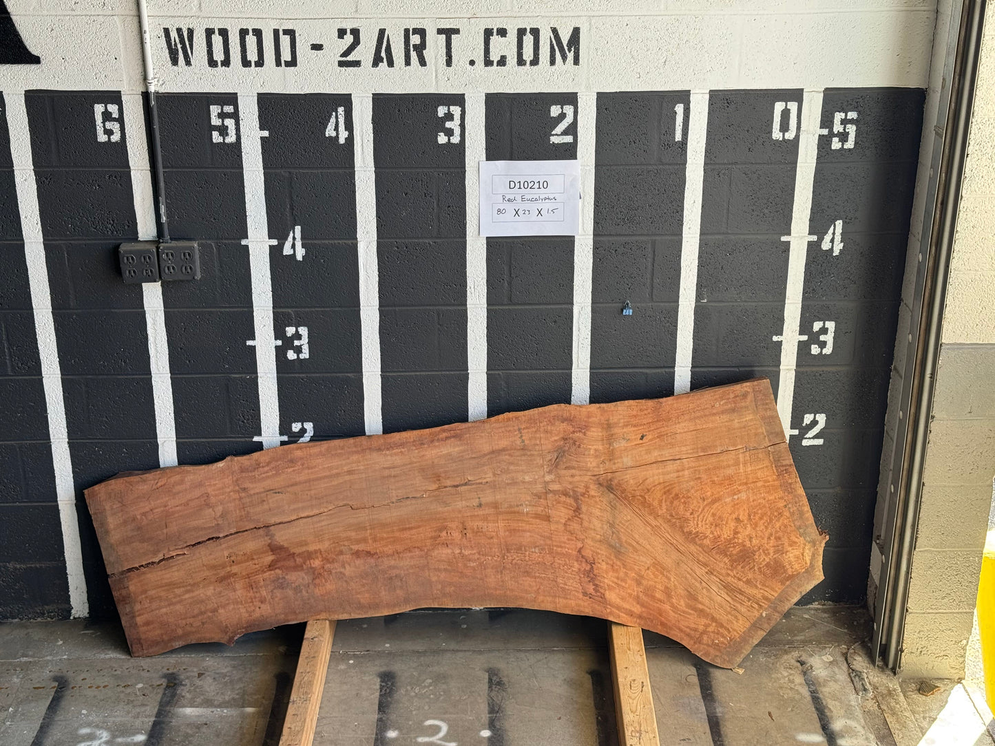 6/4 Eucalyptus <br> 80" x 23" x 1.5" <br> D10210