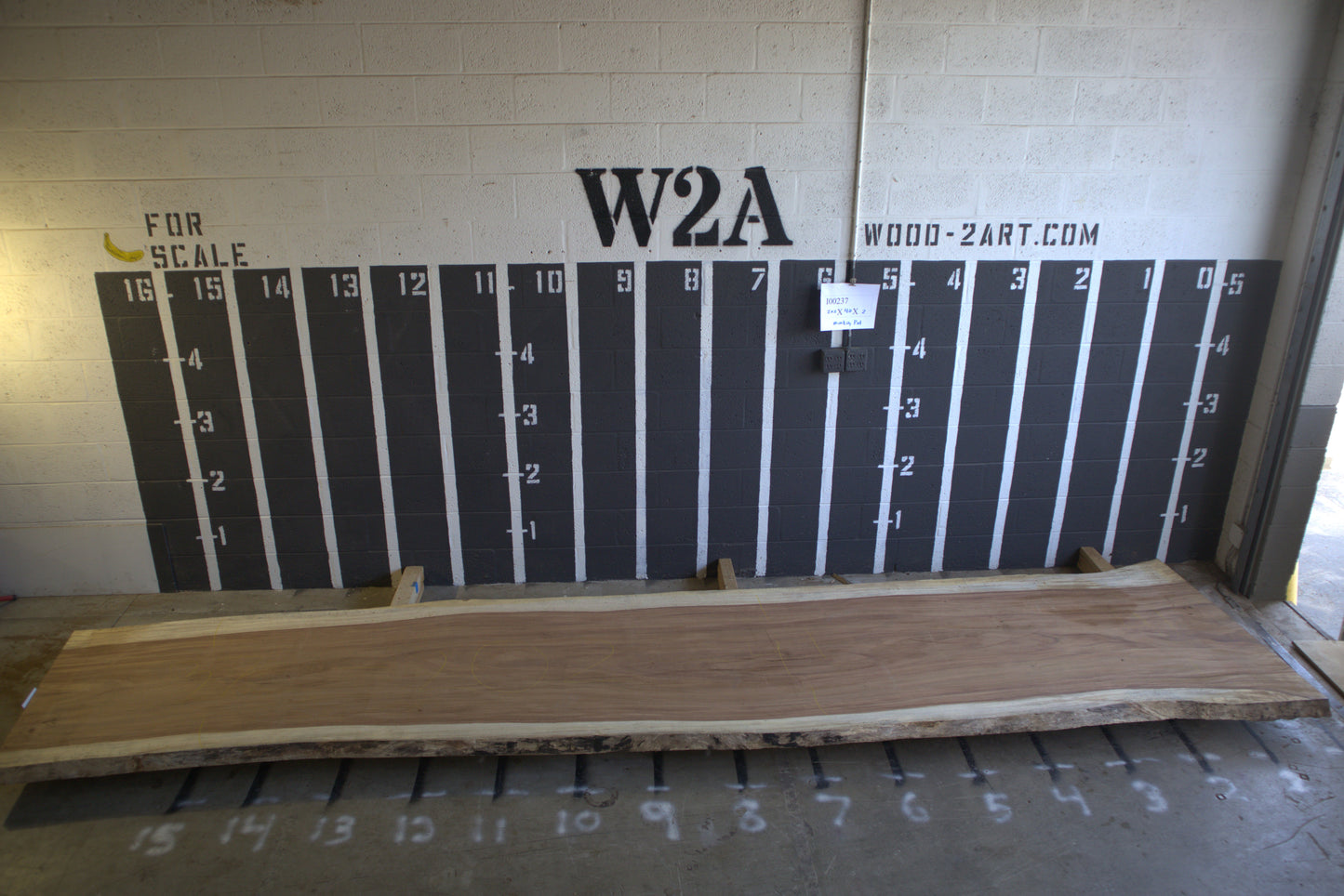 8/4 Parota <br> 202" x 40" x 2" <br> I00237