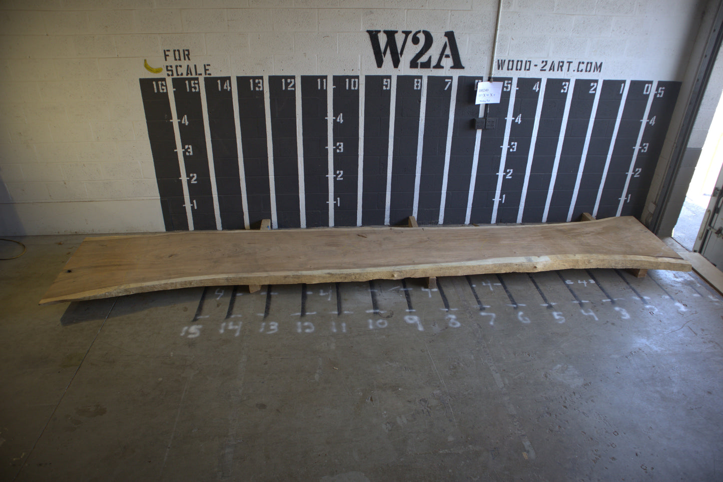 12/4 Monkey Pod <br> 227" x 32" x 3" <br> I00240