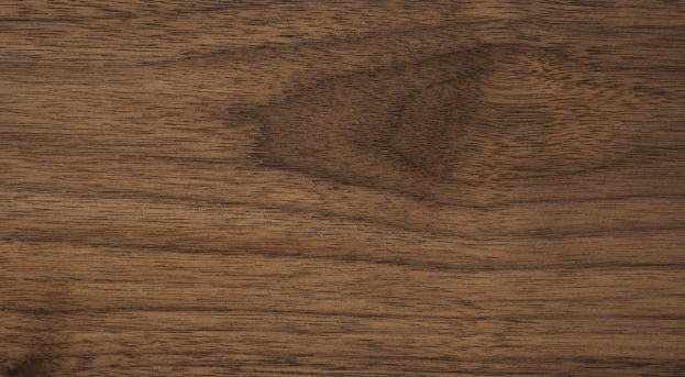 Black Walnut <br> Rough Sawn Lumber